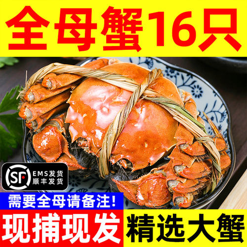 顺丰大闸蟹螃蟹鲜活中秋送礼长辈