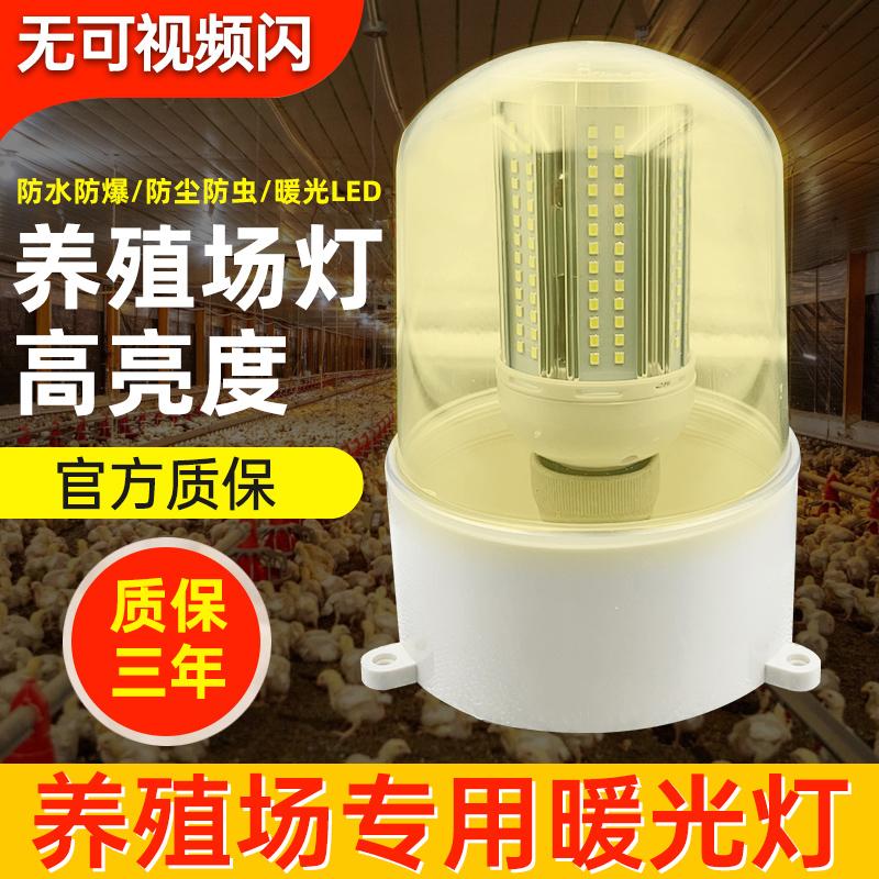 led暖光三防养殖场照明灯