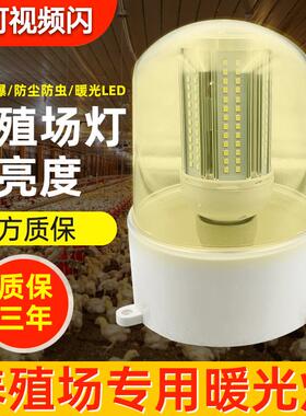 led养殖灯泡暖黄光生长灯猪牛鸡鸭舍三防水虫高罩e27耐低温照明灯