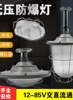 低压防爆灯led12V24V36V电瓶照明仓库工厂加油站隔爆消防隧道灯罩