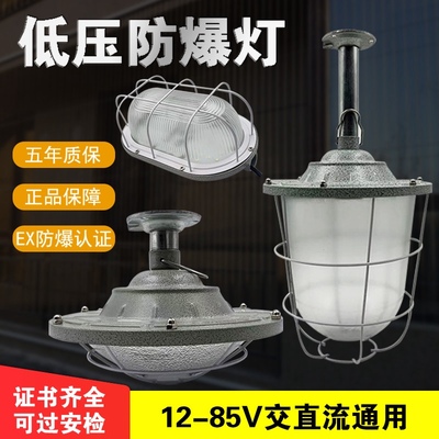 低压12~85V专用防爆灯