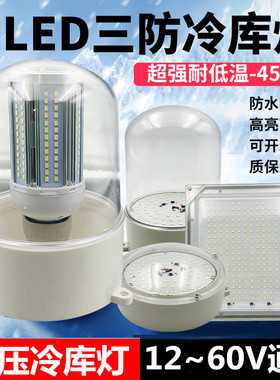 led冷库灯低压12V36V冻库耐低温防虫防冻库房防水防尘养殖场猪舍