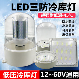 led冷库灯低压12V36V冻库耐低温防虫防冻库房防水防尘养殖场猪舍