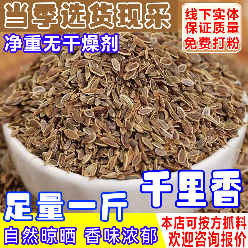 千里香香料卤料调料500g正品千里香籽九里香百里香莳萝籽火锅增香