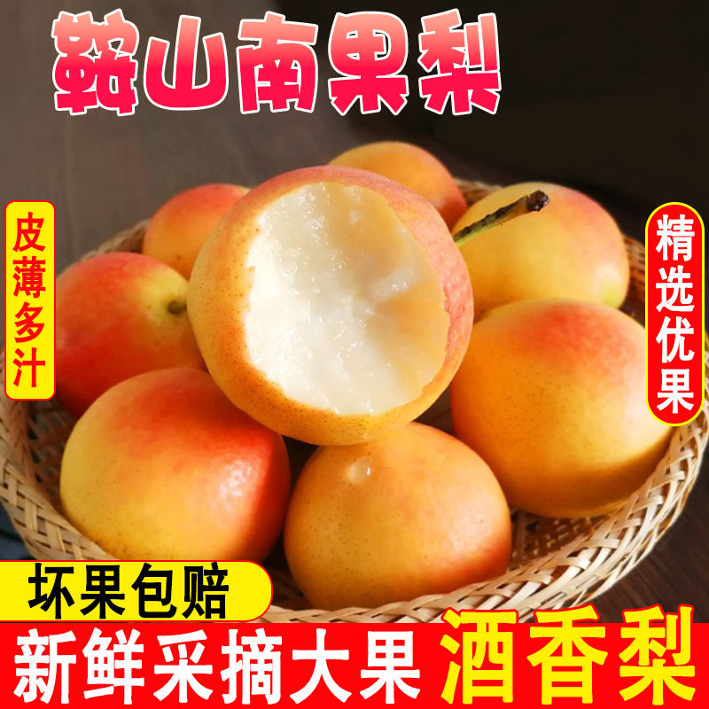 辽宁鞍山特产南果梨现摘正宗东北新鲜当季水果整箱南国薄皮小香梨