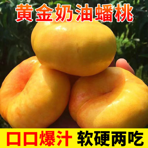 山西黄金油蟠桃新鲜水果当季整箱