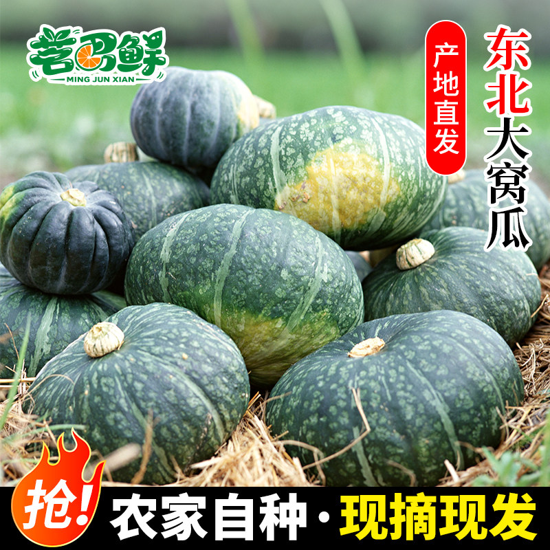 东北窝瓜新鲜大板栗老南瓜老品种谢花面窝瓜倭瓜特产应季蔬菜农家 - 实物图