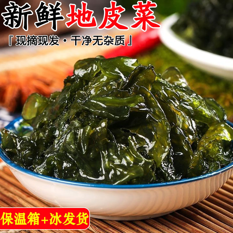 地皮菜新鲜野生现采雷公菌应季野菜地软地木耳非干货地衣包邮3斤