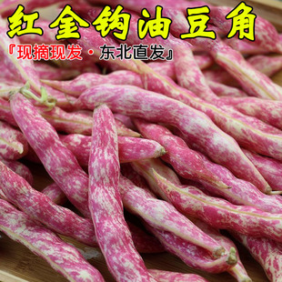 新鲜现摘黄金勾油豆角红金钩沟面乎红花鼓豆蔬菜东北农家特产吉林