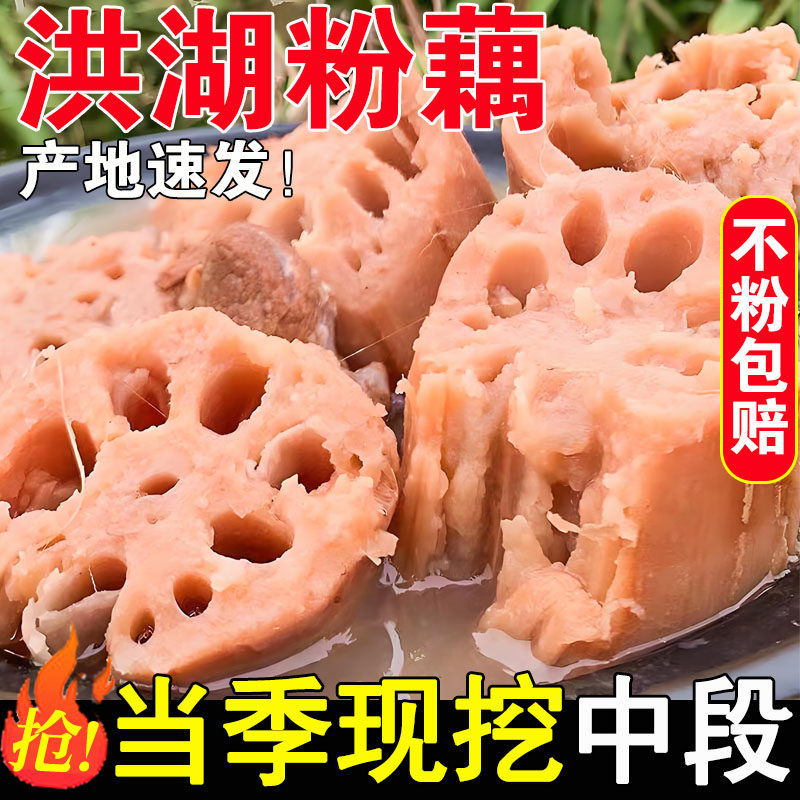 洪湖粉藕新鲜现挖湖北特产莲藕桂花正宗糯米糖藕煲汤当季蔬菜包邮