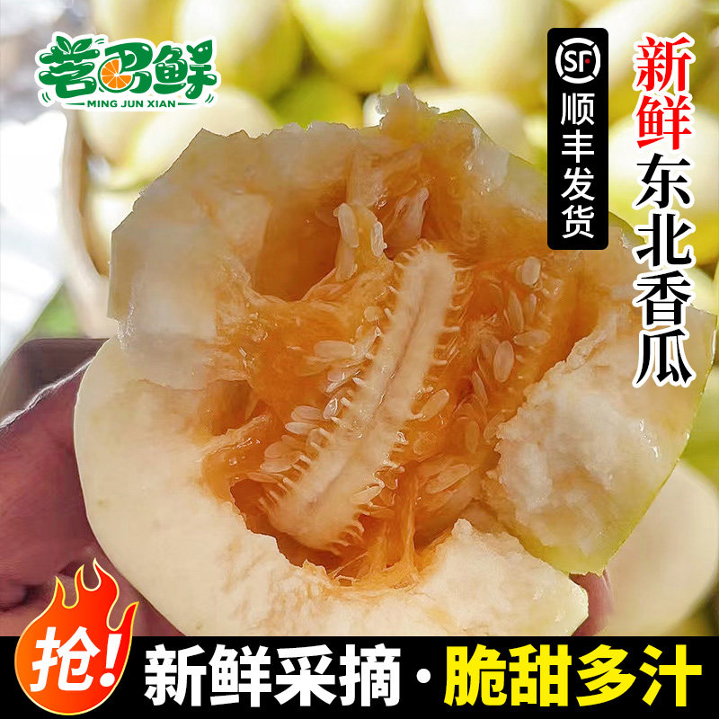 正宗东北香瓜甜瓜新鲜白糖罐香瓜现摘现发特产应当季水果整箱包邮