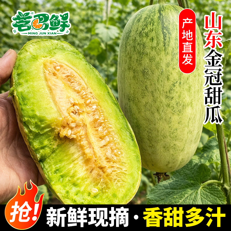 山东新鲜现摘金冠蜜瓜蜜宝头茬星甜金冠甜瓜正宗当季水果整箱包邮