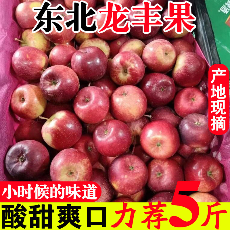 东北龙丰果大秋果小苹果新鲜现摘图片