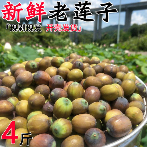 老莲子新鲜的生莲子米湘莲蓬去壳