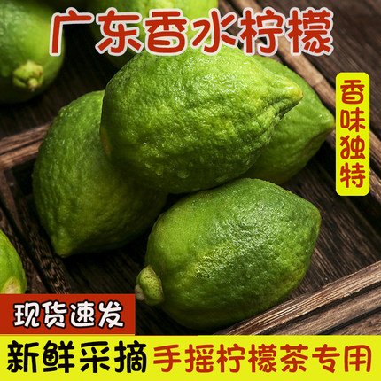 广东香水柠檬新鲜包邮一级青当季水果无籽香柠檬奶茶店专用很香