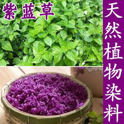 壮族三月糯米饭植物染料五