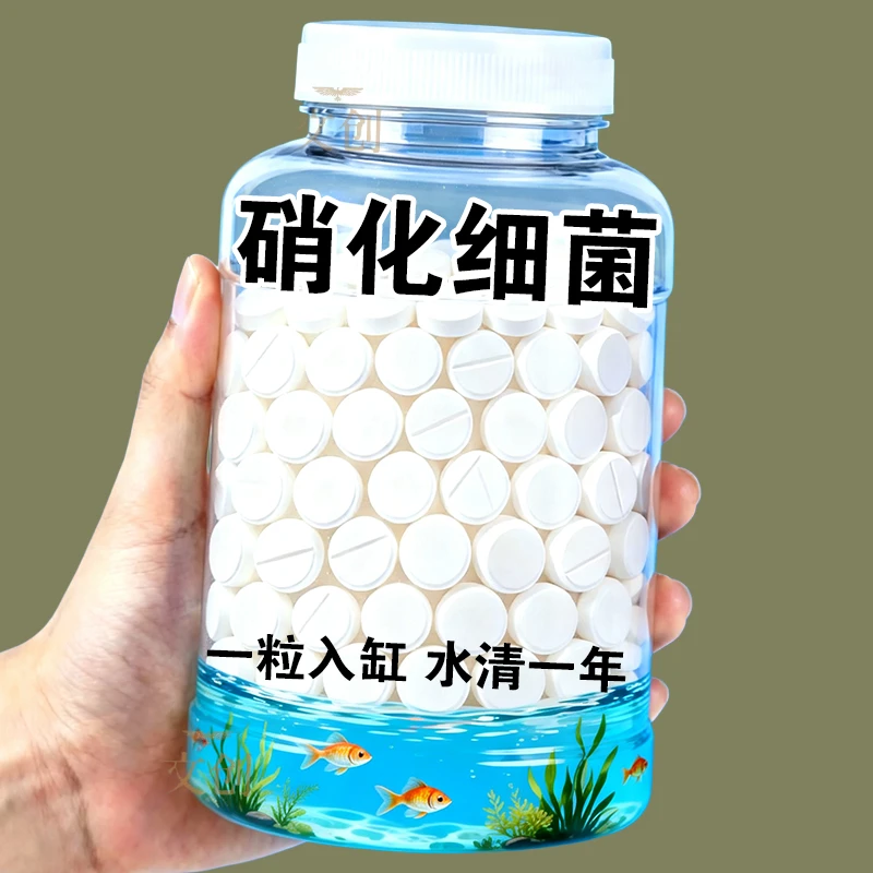 高浓度硝化菌鱼缸净水稳水质