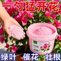 家用正品强效快速开花粉通用型玫瑰月季花爆花盆栽花卉植物通用型