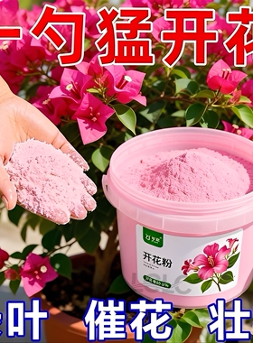 家用正品强效快速开花粉通用型玫瑰月季花爆花盆栽花卉植物通用型