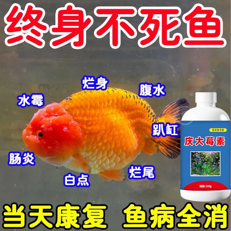 霉素鱼病专用药杀菌消炎