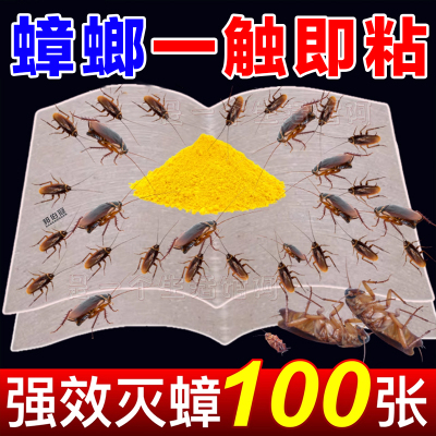 蟑螂隔夜粘一窝家用全窝端