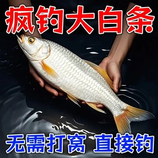 专钓白条鱼小药野钓白条餐条翘嘴马口鱼食促食剂窝料添加剂开口剂