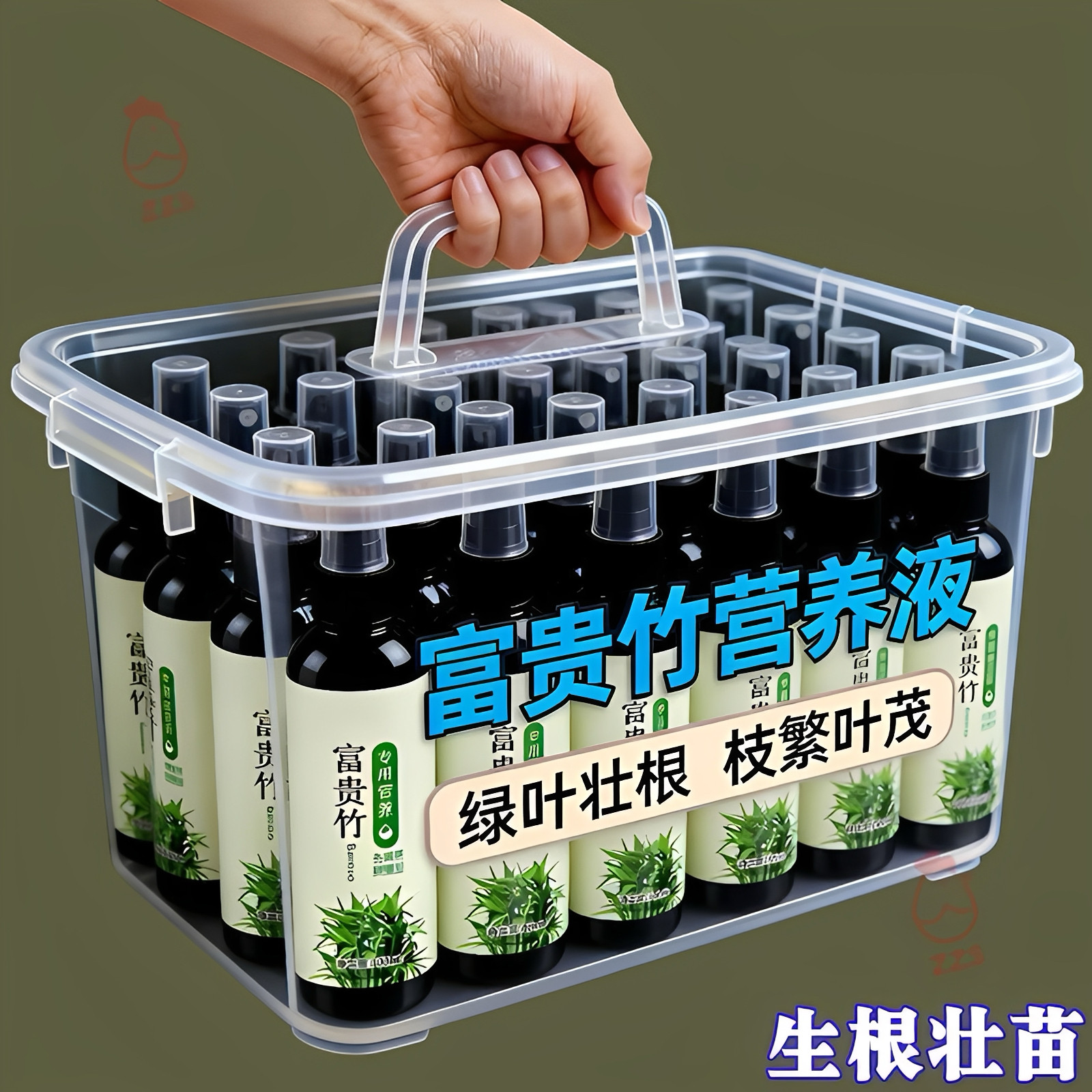 富贵竹营养液【绿叶+壮根+促花】