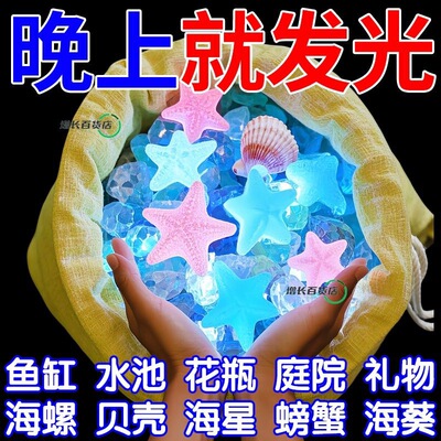 夜光海洋石【多种款式混发】热销