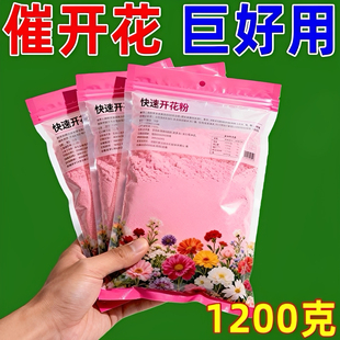 三角梅专用开花粉促芽剂催光杆发芽治黄叶落叶枯萎壮根助生长氮肥