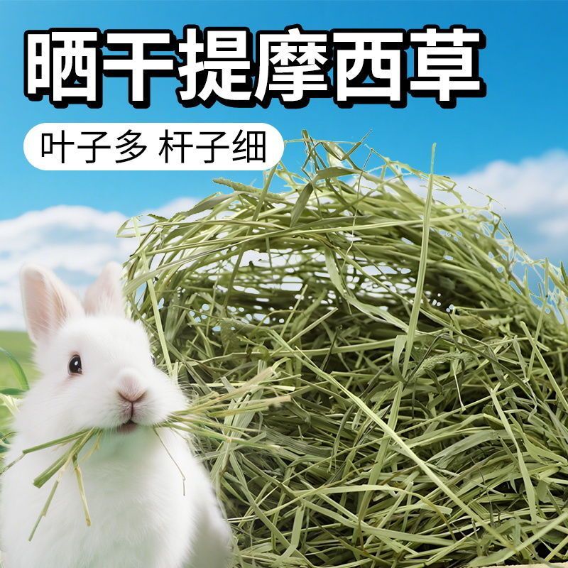 晒干提摩西草兔子粮食