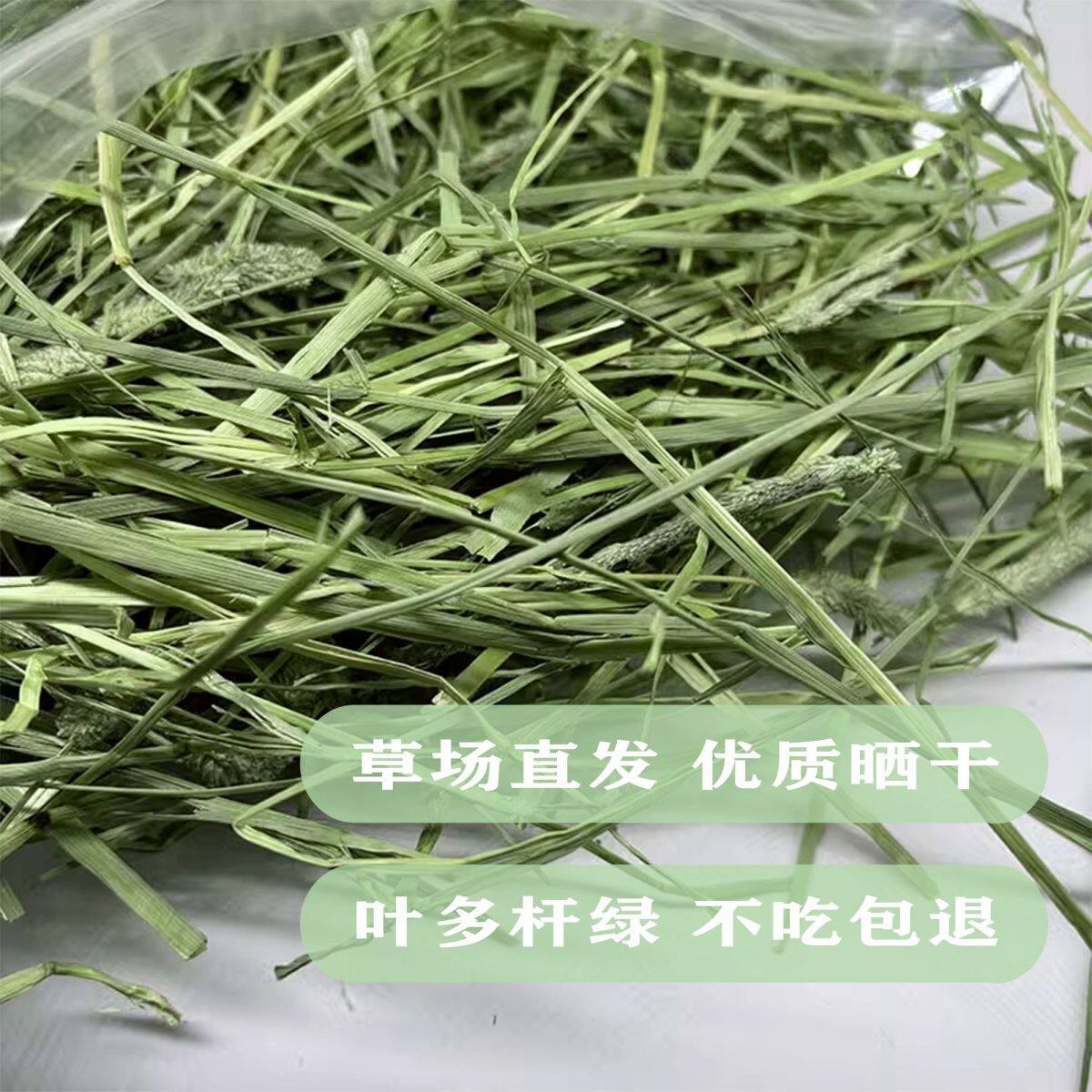 天然晒干提摩西草兔兔干草荷兰猪豚鼠龙猫零食侏儒兔粮1-3月幼兔