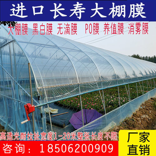 进口大棚膜消雾PO种植蔬菜草莓无滴膜塑料薄膜防晒加厚养殖黑白膜