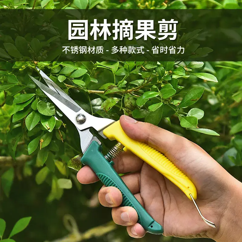 园艺剪刀花枝剪不锈钢修枝剪树枝