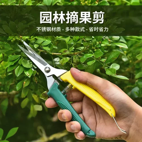 园艺剪刀花枝剪不锈钢修枝剪树枝