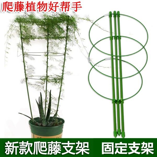 园艺花支架家用爬藤架室内盆栽植物绿萝固定铁环花架月季花支柱,农用物资,苗木固定器/支撑器,淘宝优惠券,粉丝福利购,淘宝优惠卷