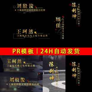 4款大气金色金属企业人物介绍人名条标题文字效果字幕条PR模板