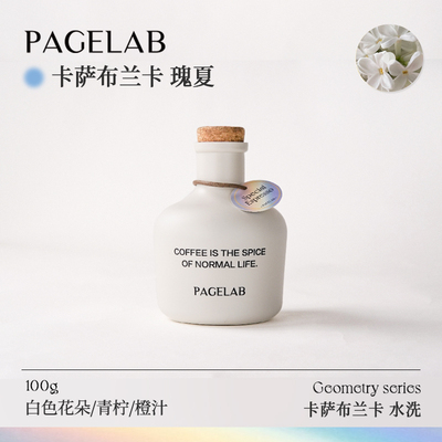 PAGELAB佩植卡萨布兰卡瑰夏哥伦比亚水洗咖啡豆精品手冲冷萃100g