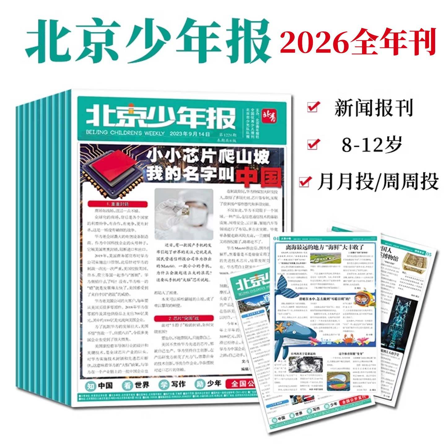 北京少年报2026全年刊杂志订阅8-12岁新闻周刊社会热点资讯月月投周周投青少年儿童阅读期刊时政财经体育文化科技小升初中贴合课标