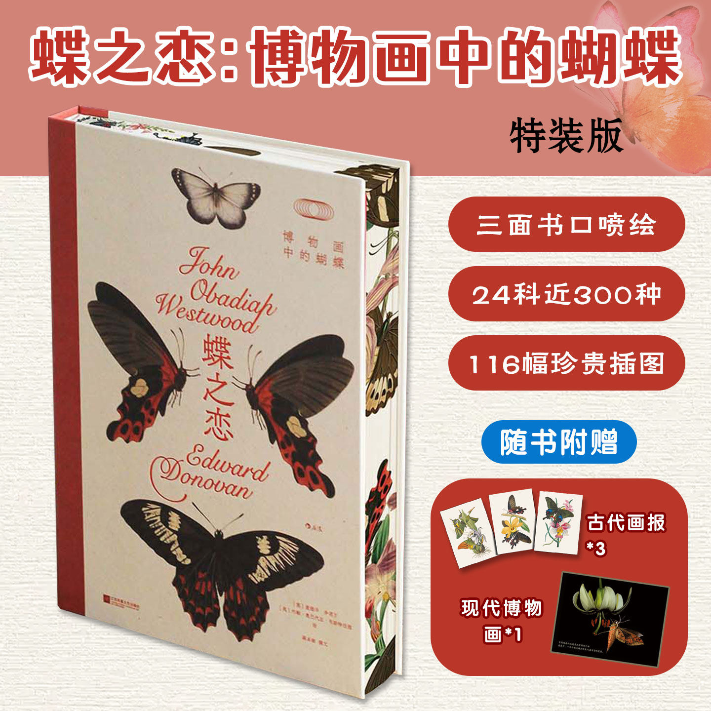 蝶之恋博物画中的蝴蝶特装版三面书口喷绘24科近300种蝴蝶116幅珍贵插图精致画作还原自然之美艺术与自然结合阅读附赠复古博物画报