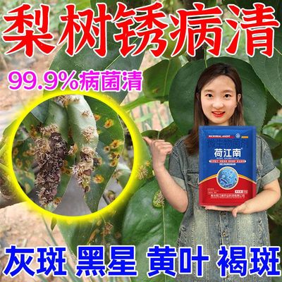 梨树病全治锈专用药果羊胡