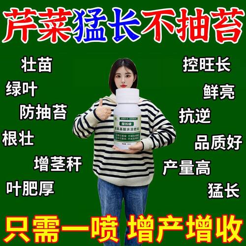 芹菜控旺防抽苔药提苗暴长