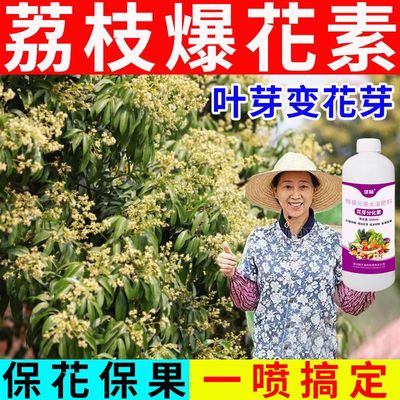 荔枝催花王】芽分化素促叶