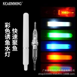 批发海钓船配件钓鱼水灯 带鱼仕挂专用灯 牙带串钩集鱼灯可换电池