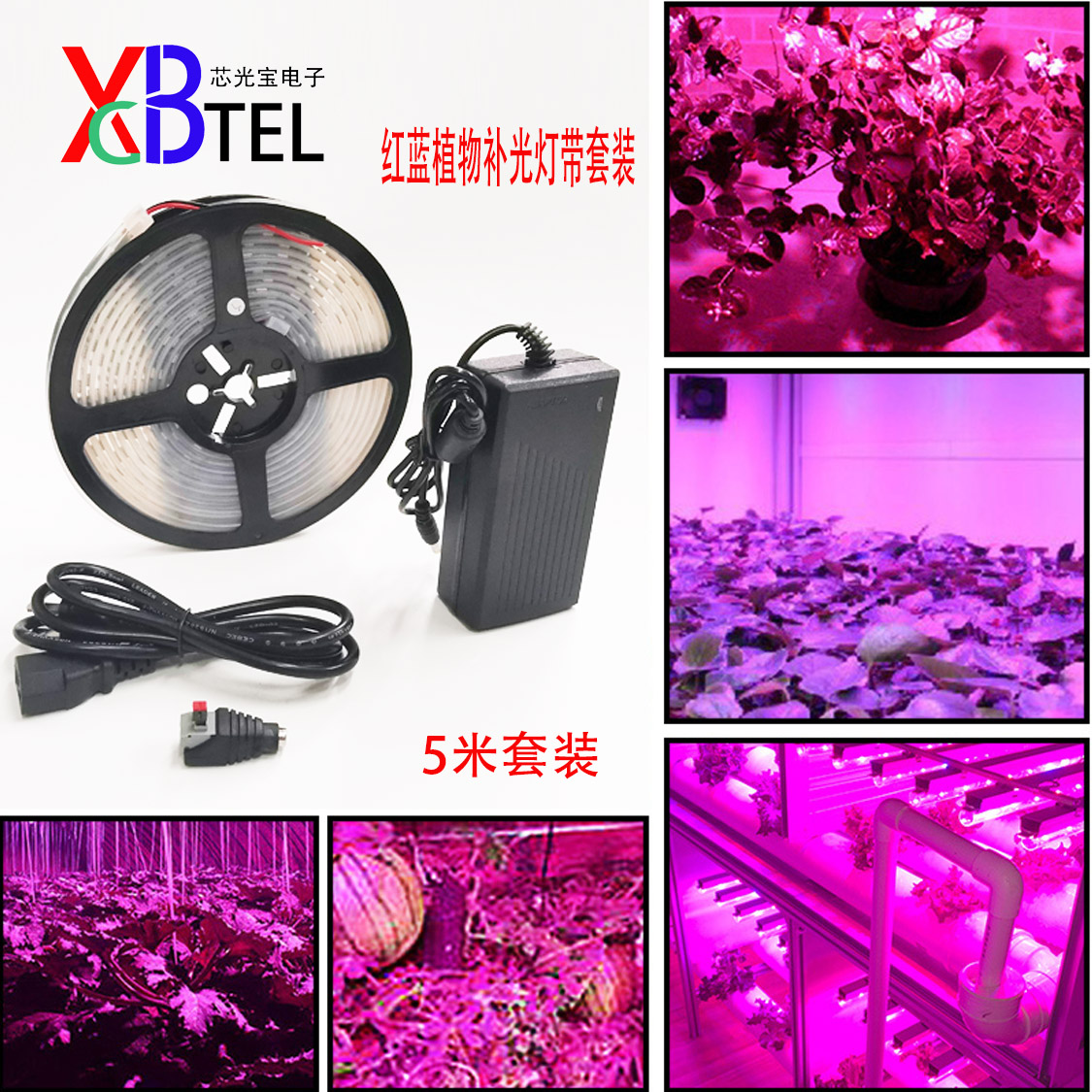 多肉补光灯家用上色红蓝光led室内兰花卉层架植物生长灯带套装20M