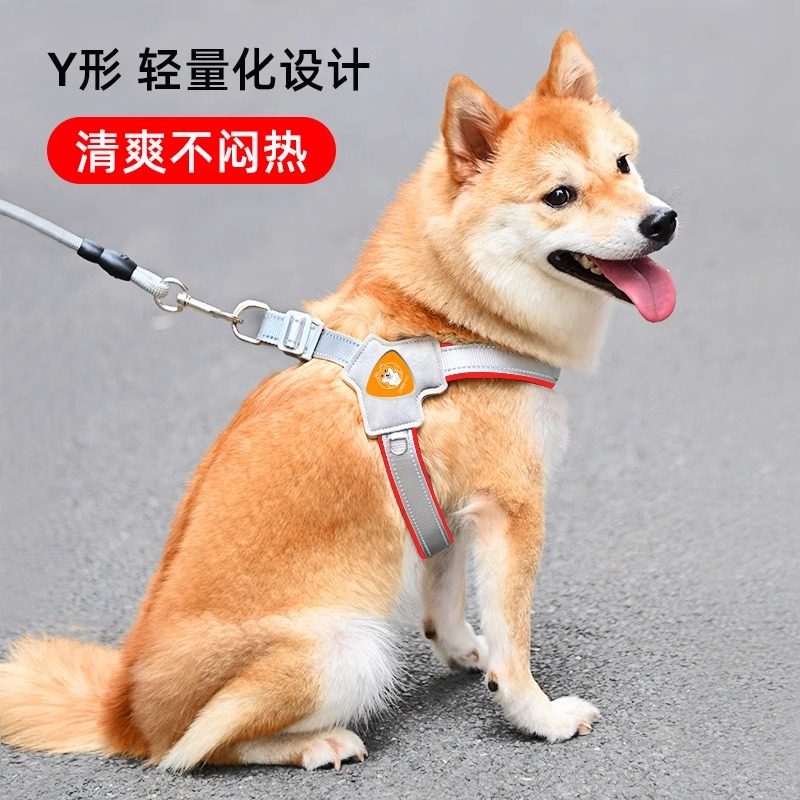 新款狗狗牵引绳胸抱婴袋背心式宠物遛狗绳中小型柴犬犬法斗柯基脖