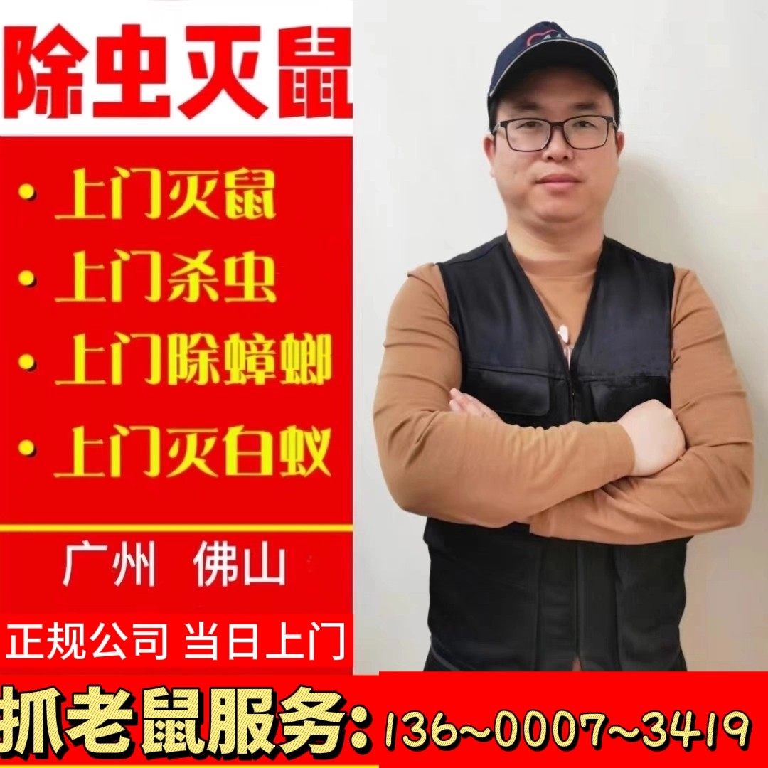 广州佛山上门灭老鼠抓捉鼠灭白蚁