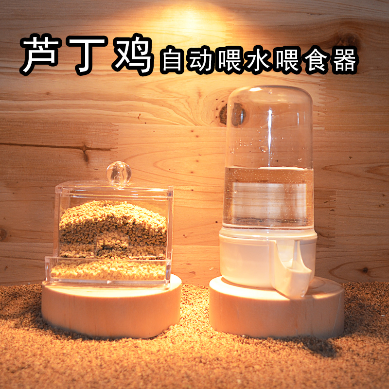 小鸡饲料喂食器芦丁鸡盒食盒水槽水壶喂水饮水喝水台用品自动专用