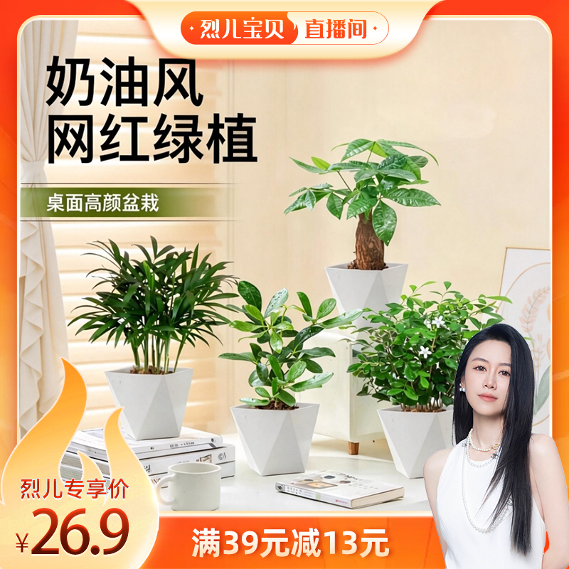 【烈儿宝贝直播间】种花的大象发财树九里香鸭脚木袖珍椰子盆栽