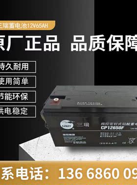 蓄电池CP12650F 12V65AH直流屏专用机房UPS电源 应急照明系统