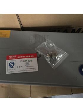 FIAMM 蓄电池12V100AH 12SP100 UPS EPS 直流屏用 铅酸免维护